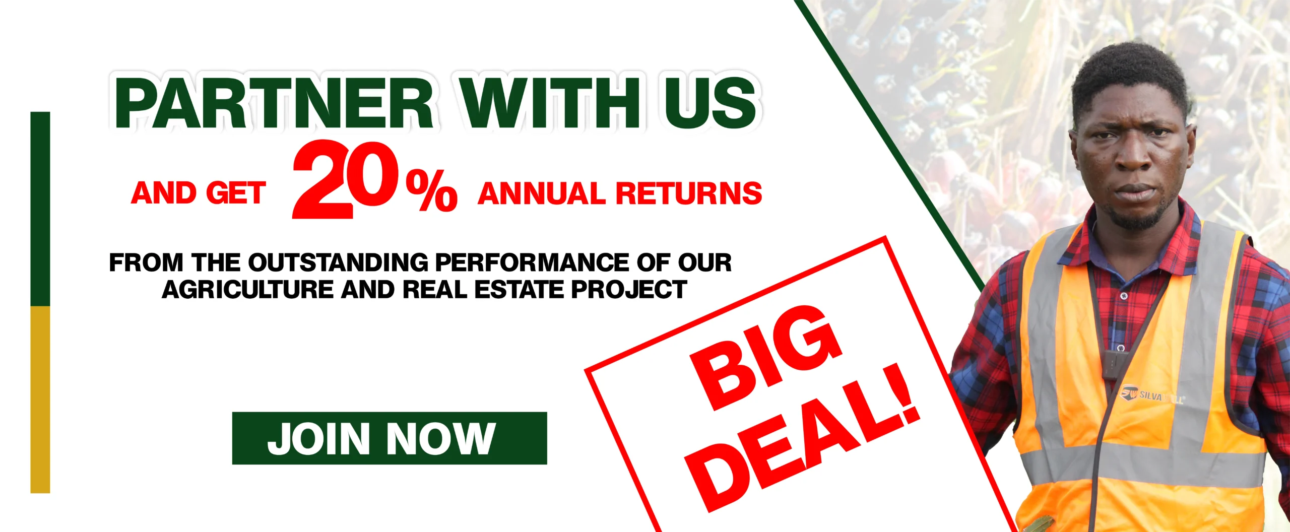 WEB BANNER 4