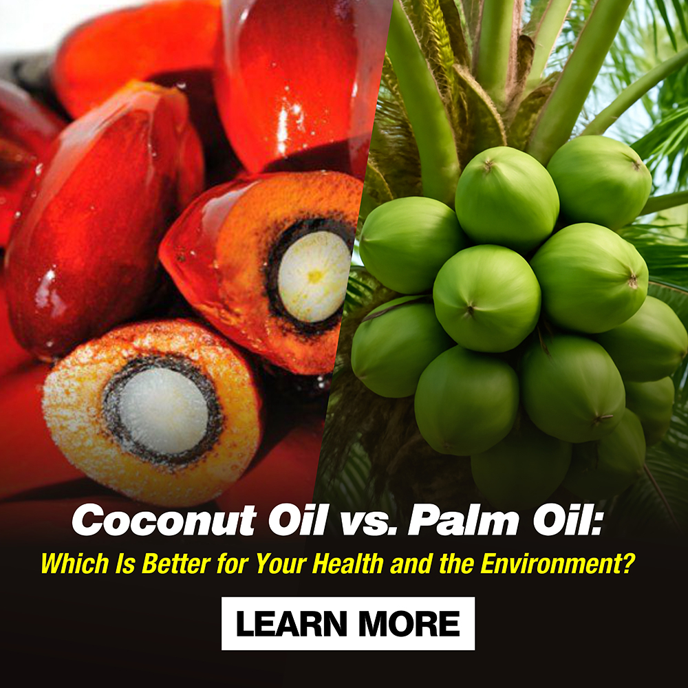 Coconut Oil vs. Palm Oil: Which Is Better for Your Health and the  Environment?
